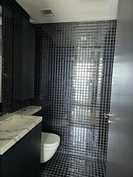 Skysuites@Anson (D2), Apartment #601527051